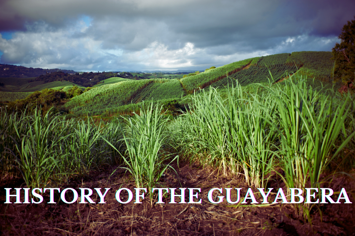 history of the guayabera
